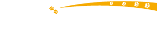 アイダックスロゴ
